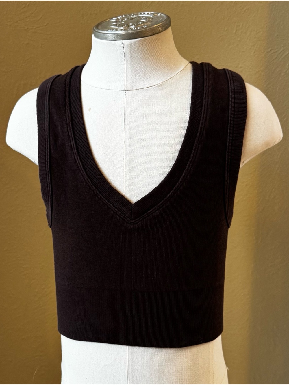 Golden (Aritzia) Chocolate Brown Sleeveless V-Neck Crop Tank Top